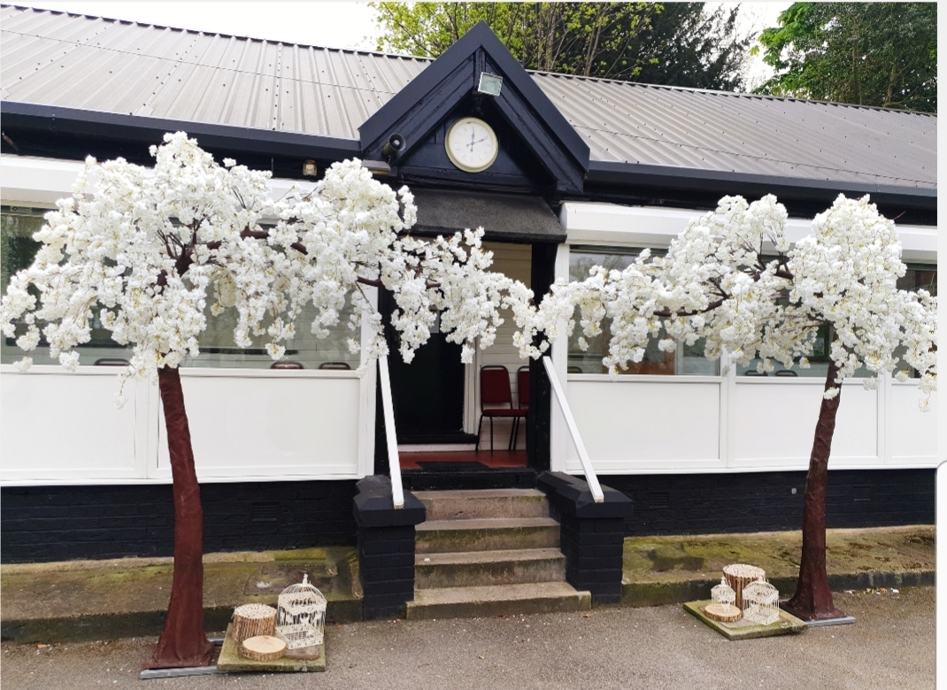 Blossom Tree Arches 3.1meter height Blossom Canopy Tree 3.1m